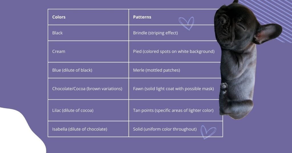 Color vs Pattern_ The Fundamental Difference