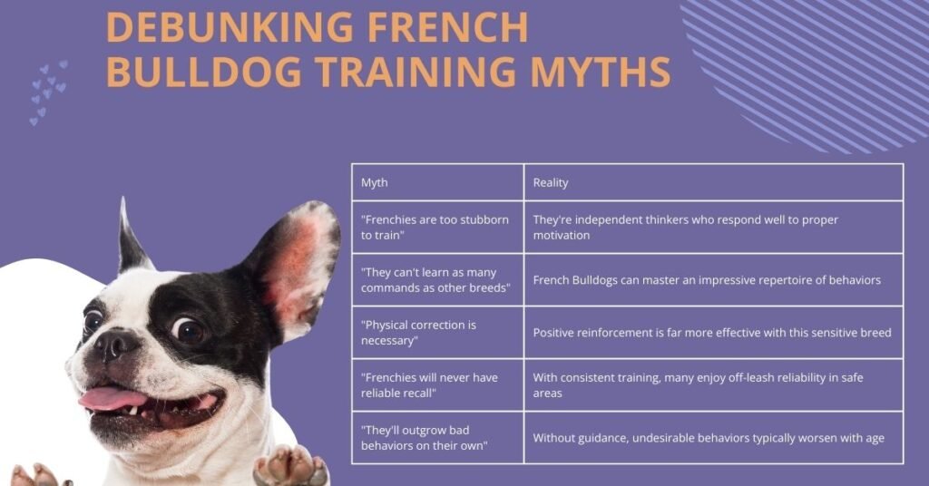 Debunking French Bulldog Training Myths