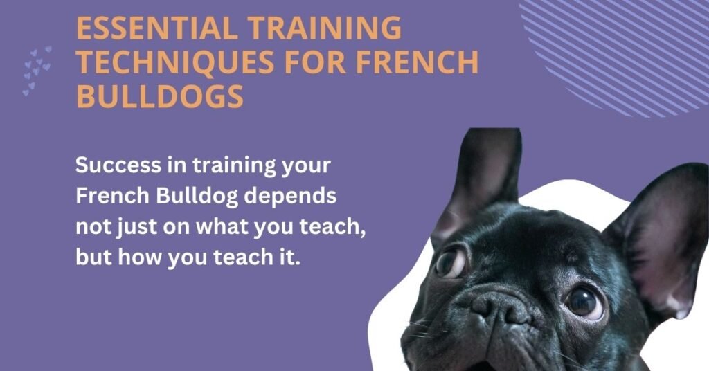 Essential Training Techniques for French Bulldogs