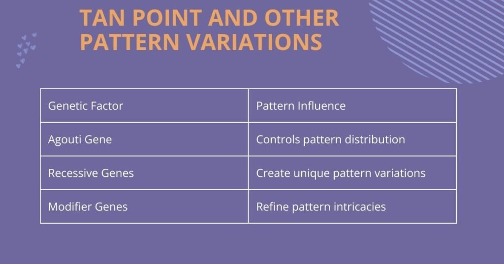 Tan Point and Other Pattern Variations