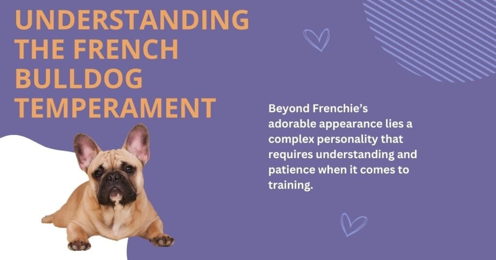 Understanding the French Bulldog Temperament