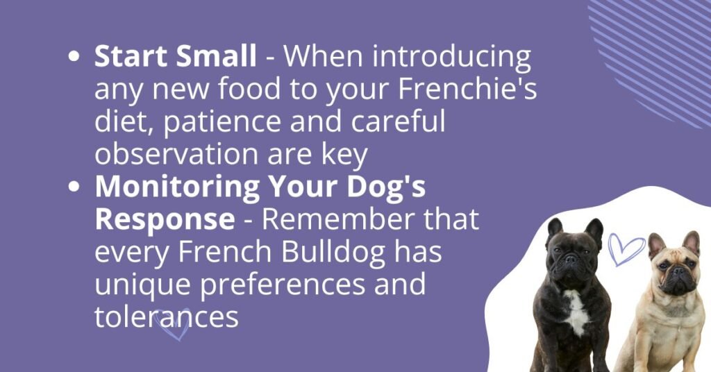 How to start Introducing New Foods to Your French Bulldog