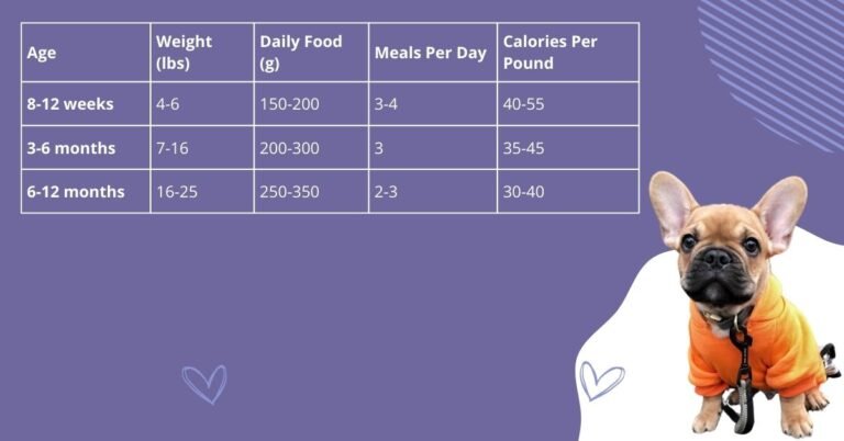 French Bulldog Feeding Guide: Best Diet for Optimal Health