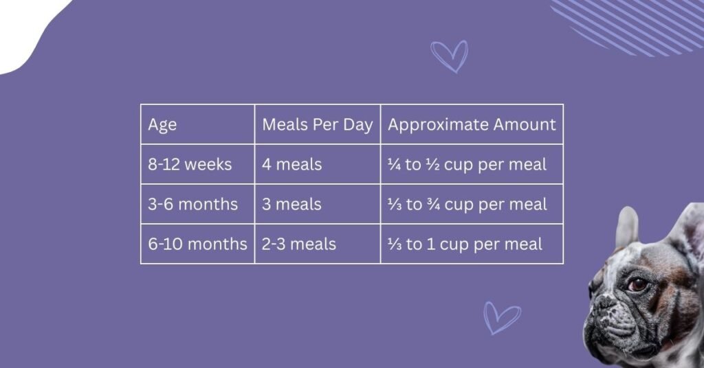 Puppy Nutrition (Birth to 10 months) chart