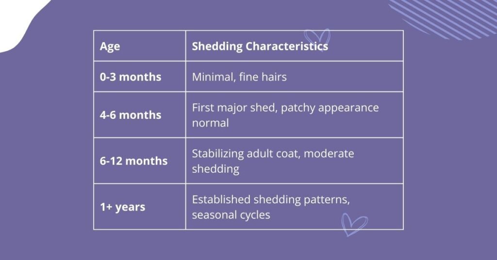 Puppy vs. Adult Shedding Differences chart