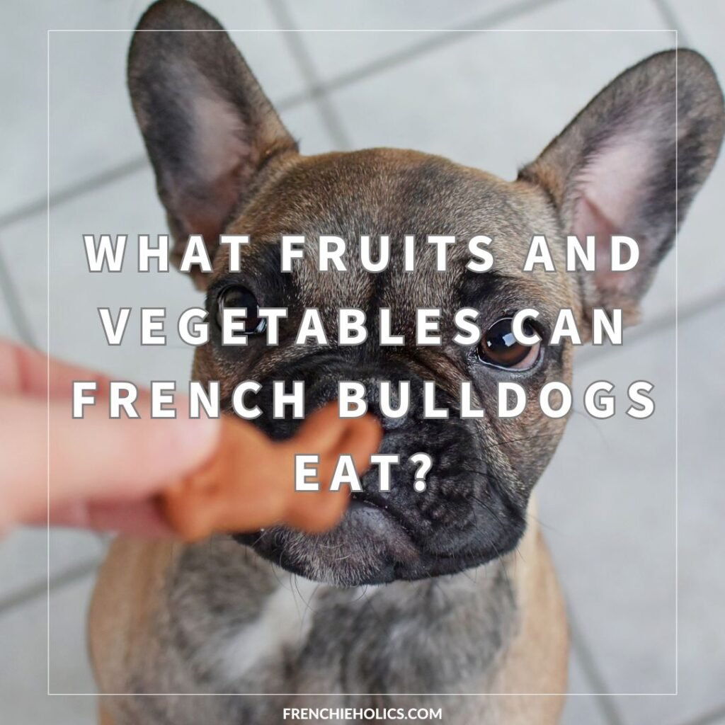 What Fruits and Vegetables Can French Bulldogs Eat - featured image