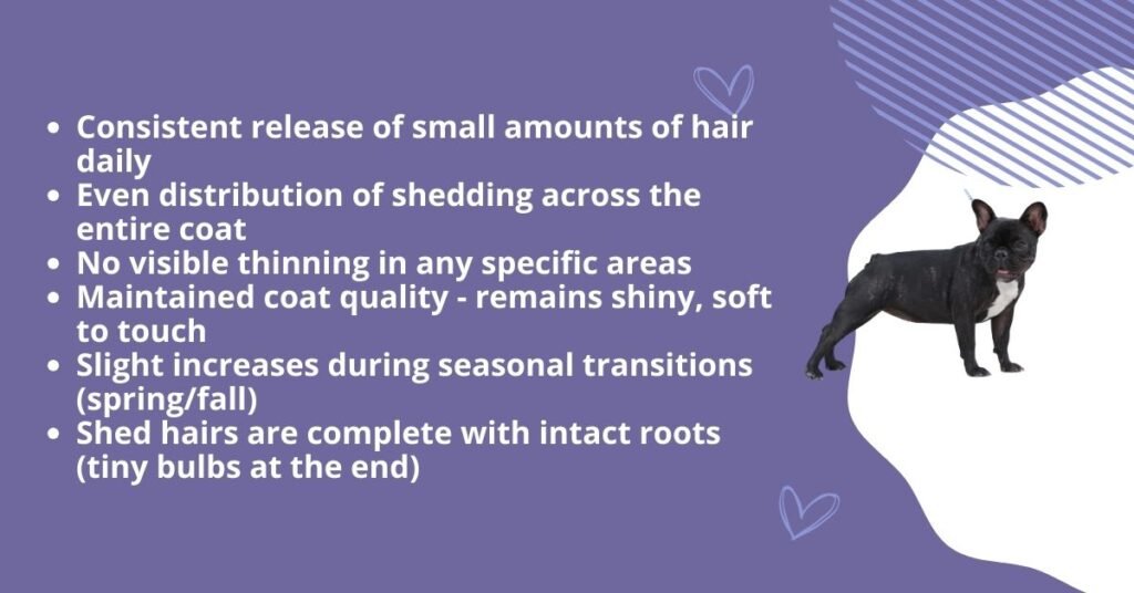 What Normal Shedding Looks Like