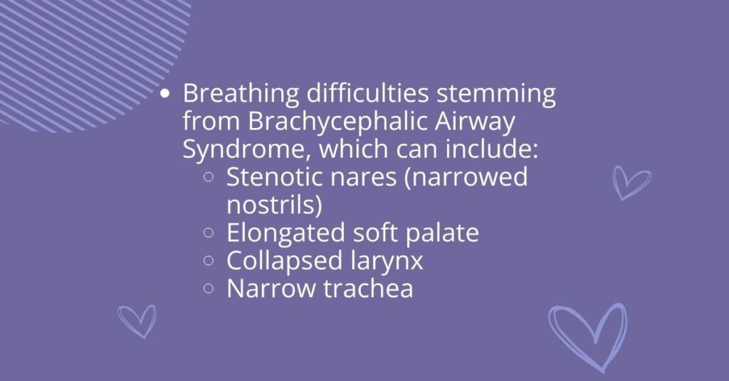 Health Considerations