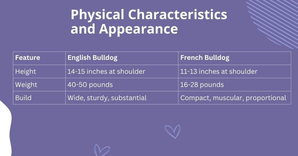 Physical Characteristics and Appearance