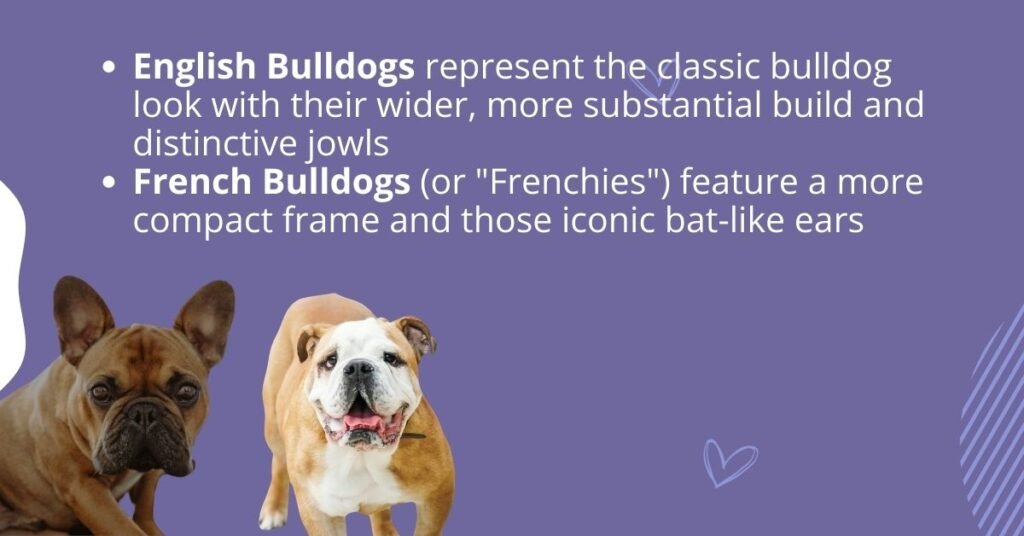Top 30 Male French Bulldog Names