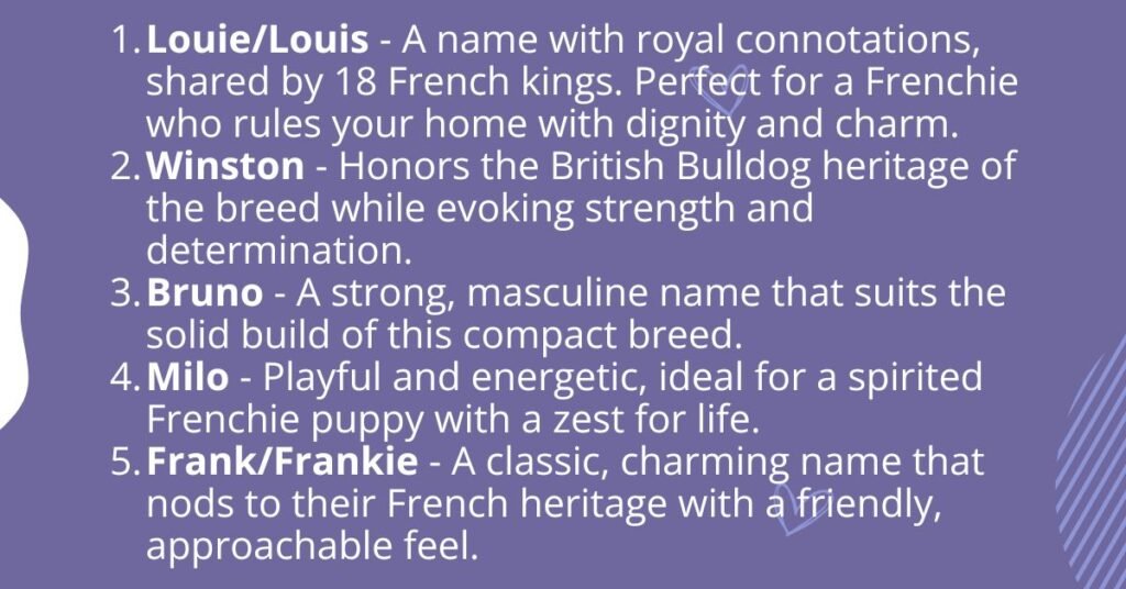 Top 30 Male French Bulldog Names