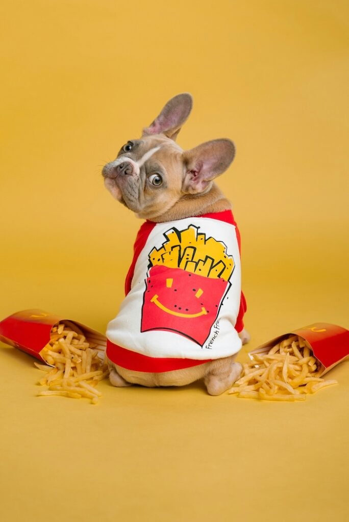 french bulldog names inspired by food