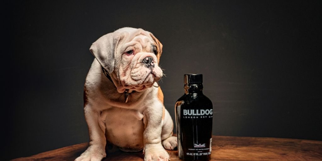 a dog sitting next to a bottle