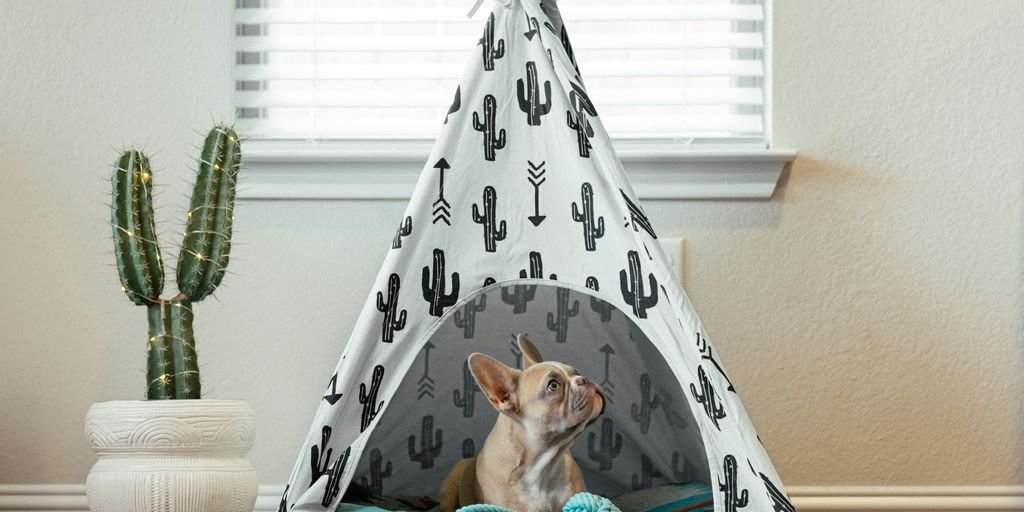 a dog sitting in a teepee with a cactus pattern