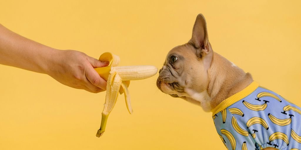 person holding yellow and white ice cream cone